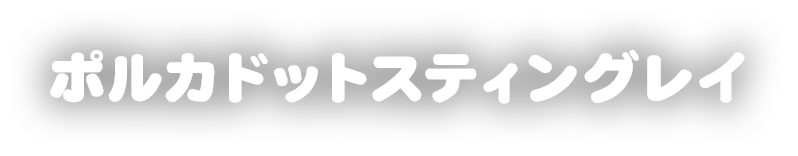 ポルカドットスティングレイ