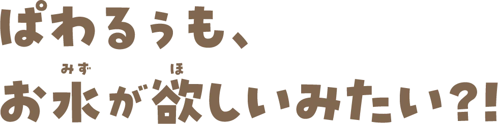 ぱわるぅも、お水が欲しいみたい？！