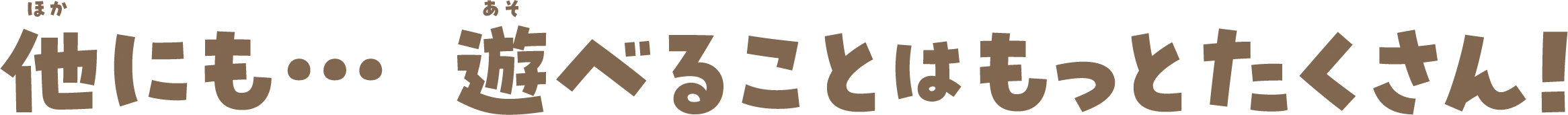 他にも…遊べることはもっとたくさん！